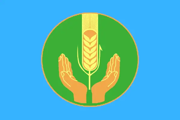 Флаг: Похвистневский район